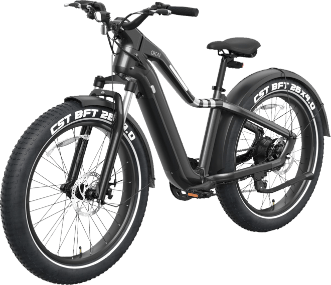 abus pedelec e bike helmet ABUS HYP-E ACE Bicycle Helmet Electric BIKE