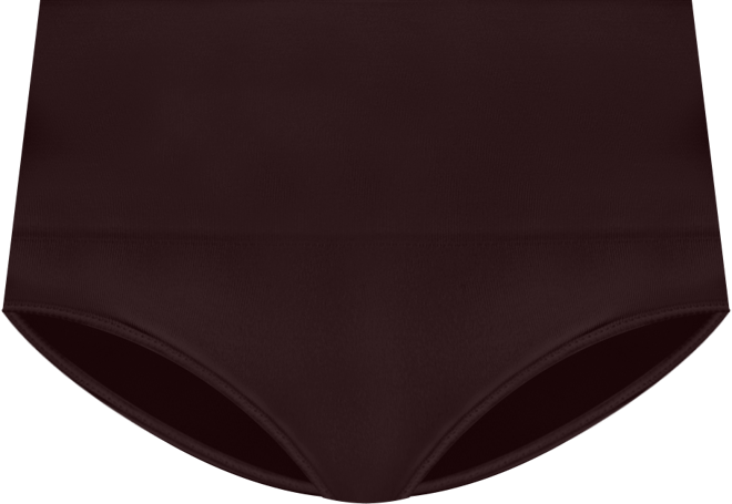 Women's Seamless Shaping Brief Underwear 40047R