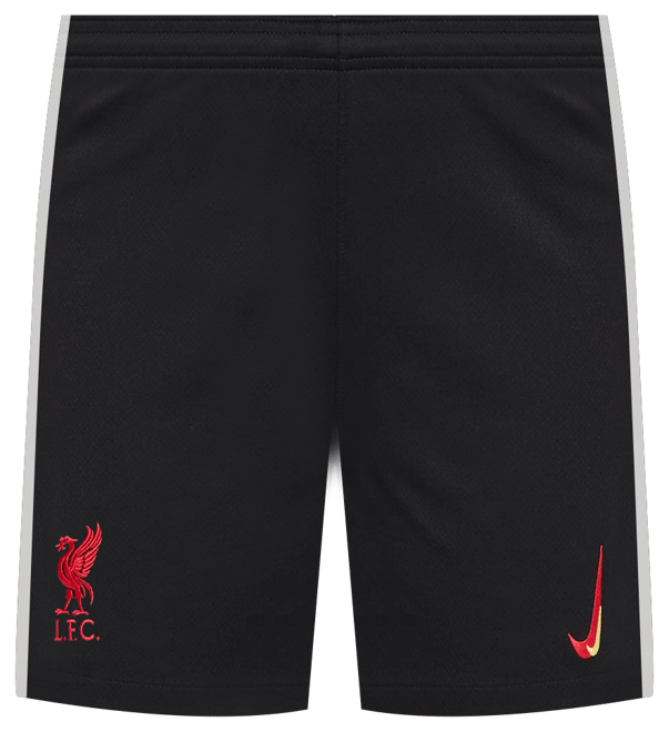 Liverpool FC 2024/25 Stadium Derde Nike Dri-FIT replicavoetbalshorts voor kids