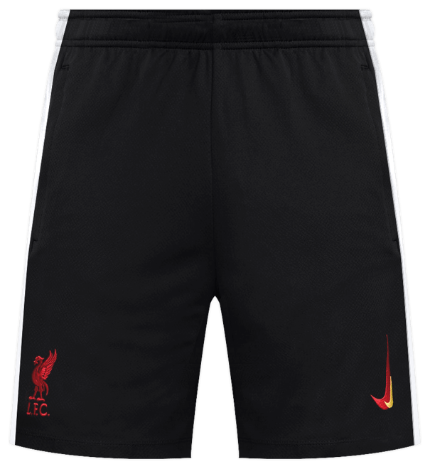 Liverpool F.C. 2024/25 Stadium Third Men's Nike Dri-FIT Football Replica Shorts