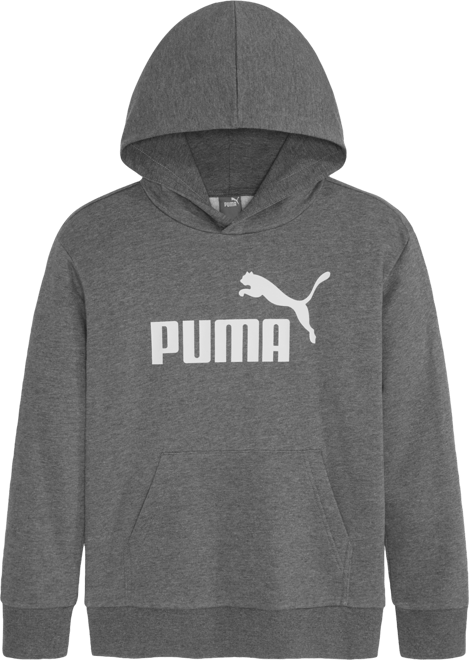 Boys puma hoodie online