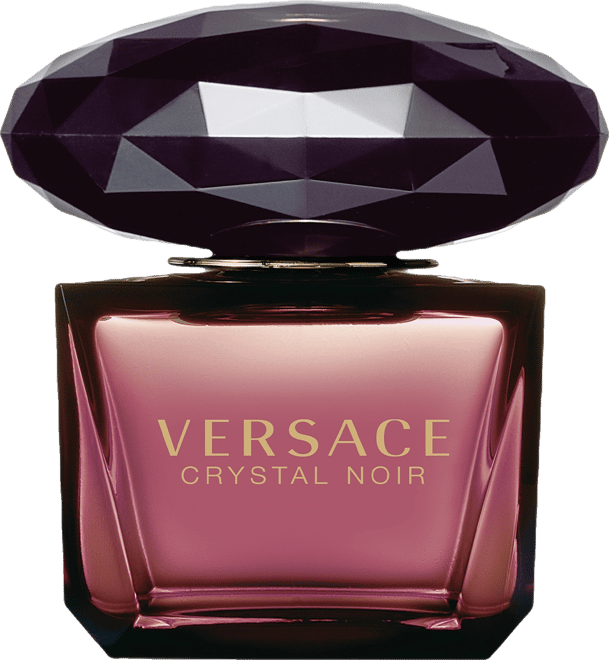 Versace Dylan Blue Pour Femme Eau de Parfum Spray, 3.4 oz