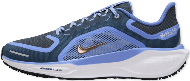 Nike Pegasus 41 GORE-TEX Chaussure de running sur route imperméable pour femme