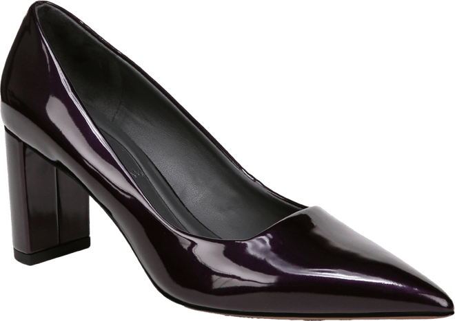 Women's Giovanna Pointed Toe Block Heel Pumps