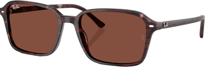 Unisex Raimond Square Sunglasses, RB2231