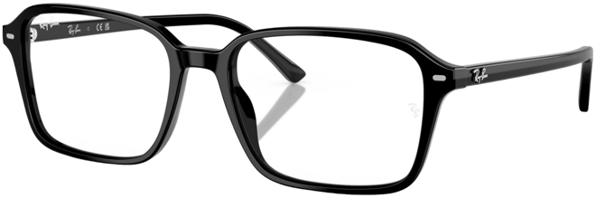 Unisex Raimond Transitions Photochromic Sunglasses, RB2231