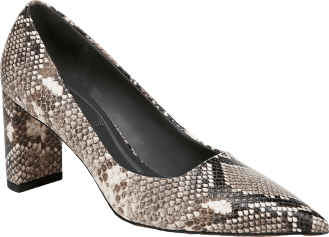 Women's Giovanna Pointed Toe Block Heel Pumps