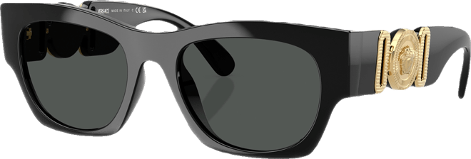 Men's Sunglasses VE4479U