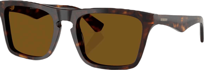 Men's Polarized Sunglasses BE4434