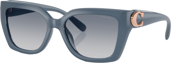 Women's Sunglasses, CW195 HC8408U