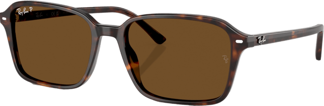 Unisex Raimond Polarized Sunglasses, RB2231