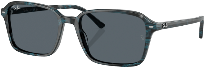 Unisex Round Raimond Sunglasses, RB2231F