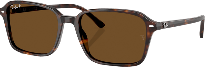 Unisex Polarized Raimond Sunglasses, RB2231F