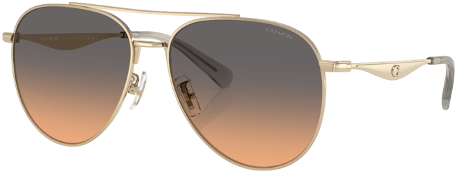 Women's Sunglasses, CW193 HC7169
