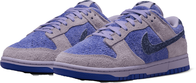 Nike Dunk Low SE Women's Shoes