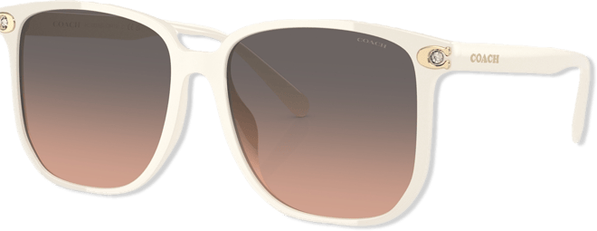 Women's Sunglasses, CW419 HC8413BD