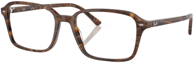 Unisex Raimond Optics Eyeglasses, RB5431