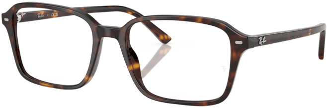 Unisex Raimond Optics Eyeglasses, RB5431F