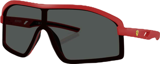 Men's Sunglasses FZ6010U