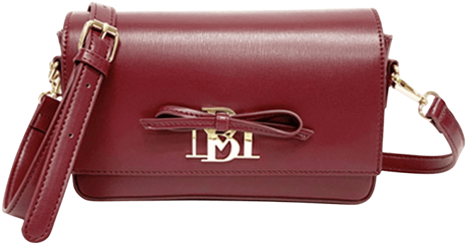 Badgley Mischka Women's Small Rectangle Shape with Bow Bag