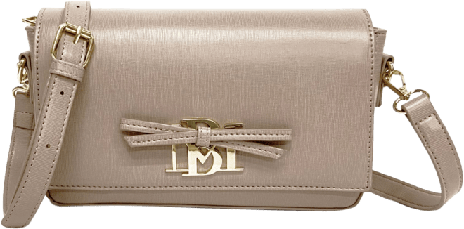 Badgley Mischka Women's Small Rectangle Shape with Bow Bag