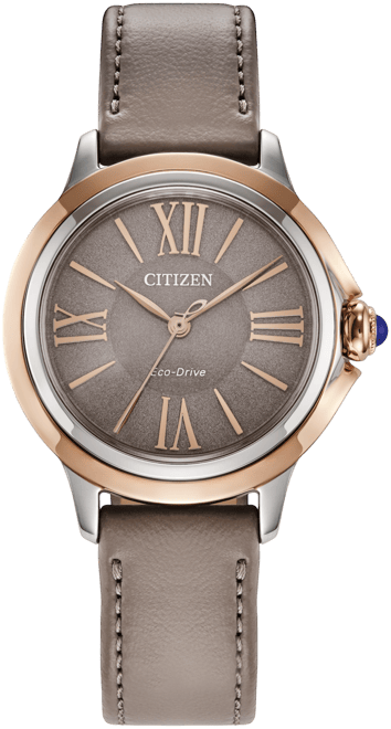 Eco-Drive Women's Ceci Taupe Eco-Pet Strap Watch 34mm