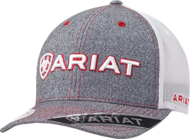 Men's Logo Mesh Snapback in Grey by Ariat