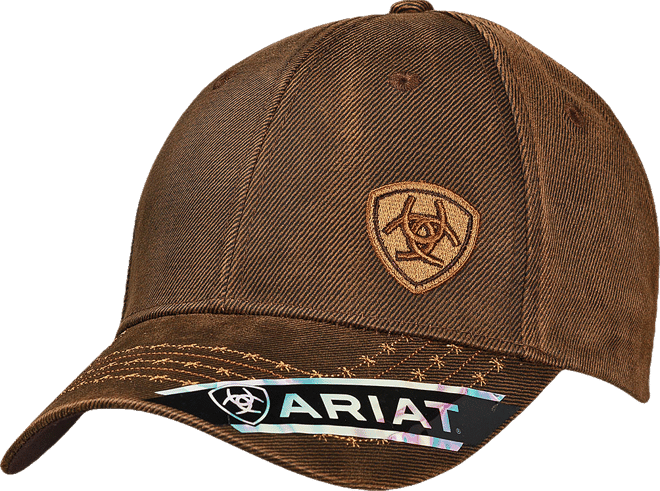 Men's Brad Cap in Brown by Ariat
