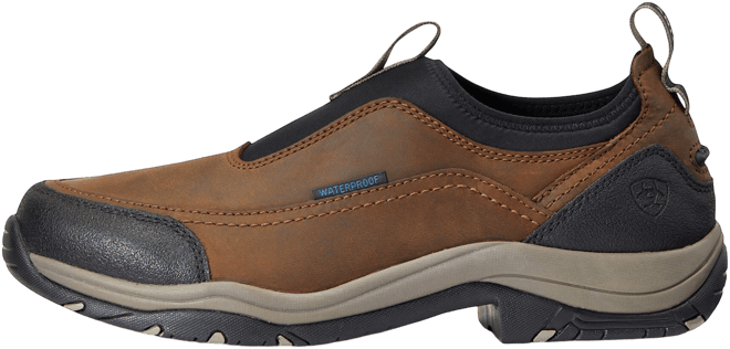 Men's Terrain Ease Waterproof Shoes