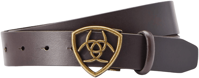The Shield Belt