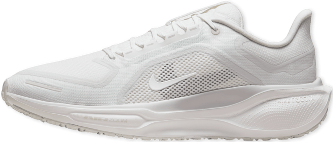 Nike Pegasus 41 GORE-TEX Men's Waterproof Road Running Shoes