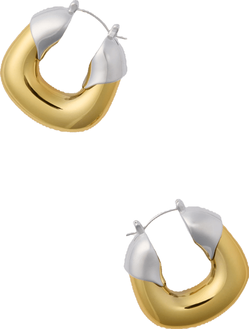 Mixed Metal Organic Hoops