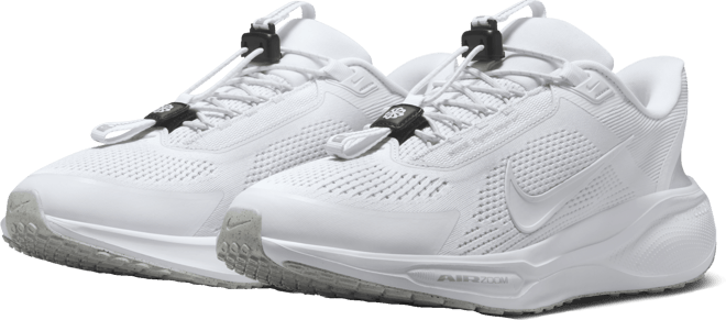 Nike Pegasus EasyOn Men's Road Running Shoes