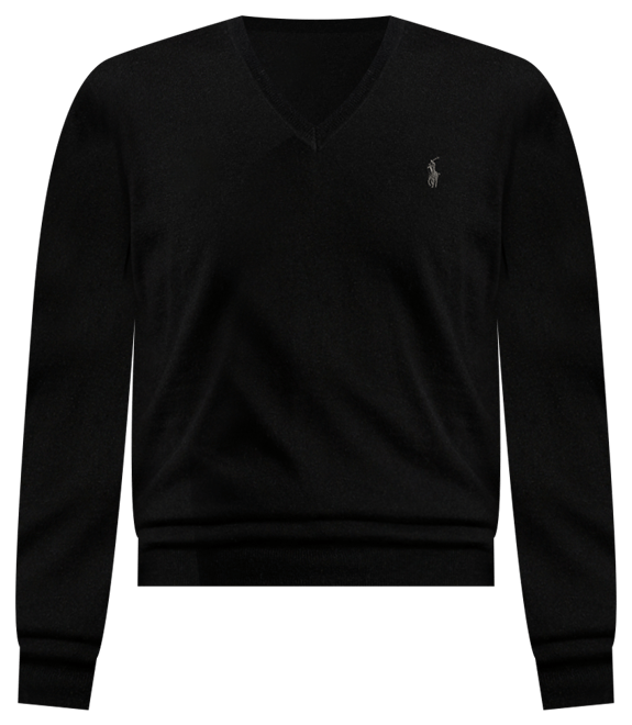 Men's Washable Wool V-Neck Sweater