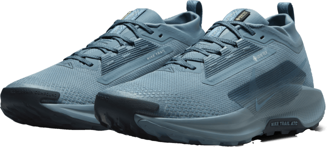 Nike Pegasus Trail 5 GORE-TEX Men's Waterproof Trail Running Shoes