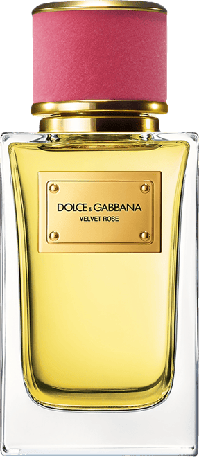 香水(ユニセックス) DOLCE & GABBANA VELVET MUGHETTO Dolce&Gabbana Velvet Mughetto Eau de Parfum, 3.3 oz. - Macy's