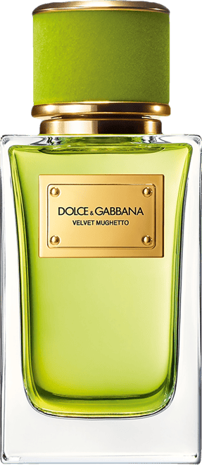 香水(ユニセックス) DOLCE & GABBANA VELVET MUGHETTO Dolce&Gabbana Velvet Mughetto Eau de Parfum, 3.3 oz. - Macy's