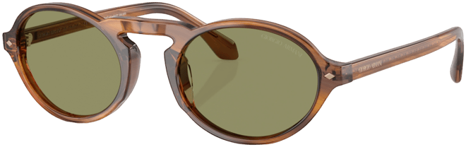 Men's Sunglasses AR8219U