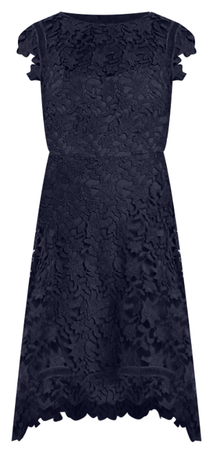 Eliza J Asymmetric Lace Dress | Bloomingdale's Women