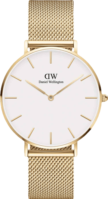 Women's Petite Evergold Gold-Tone Stainless Steel Watch 36mm