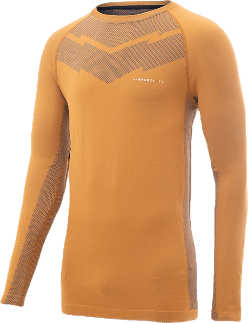 Seamfree Long Sleeve Running Top