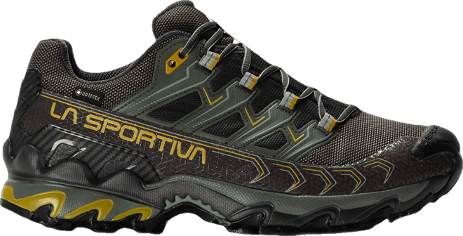 Ultra Raptor II GORE-TEX Walking Shoes