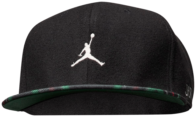 Jordan Pro Structured Hat