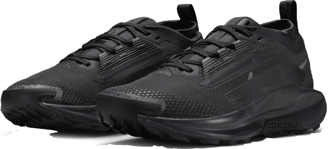 Nike Pegasus Trail 5 GORE-TEX Waterdichte trailrunningschoenen voor dames