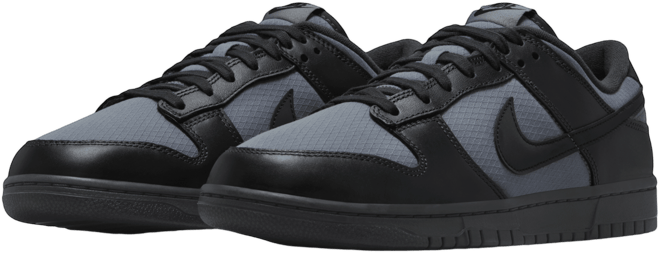Nike Dunk Low Retro SE Men's Winterized Shoes
