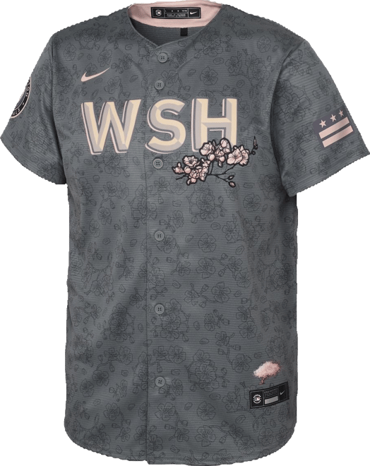 Men’s sale Washington Nationals Nike Gray 2022 City Connect Jersey