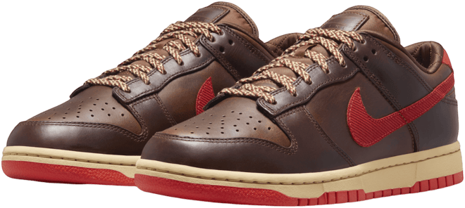 Nike Dunk Low Retro Men's Shoes