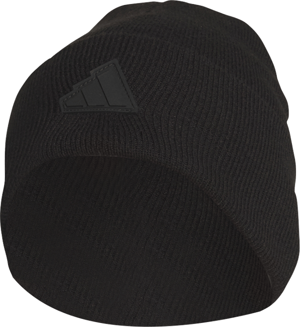 Men's Postseason Logo Beanie