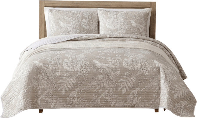 Jungle Toile Reversible 3-Pc. Quilt Set, King