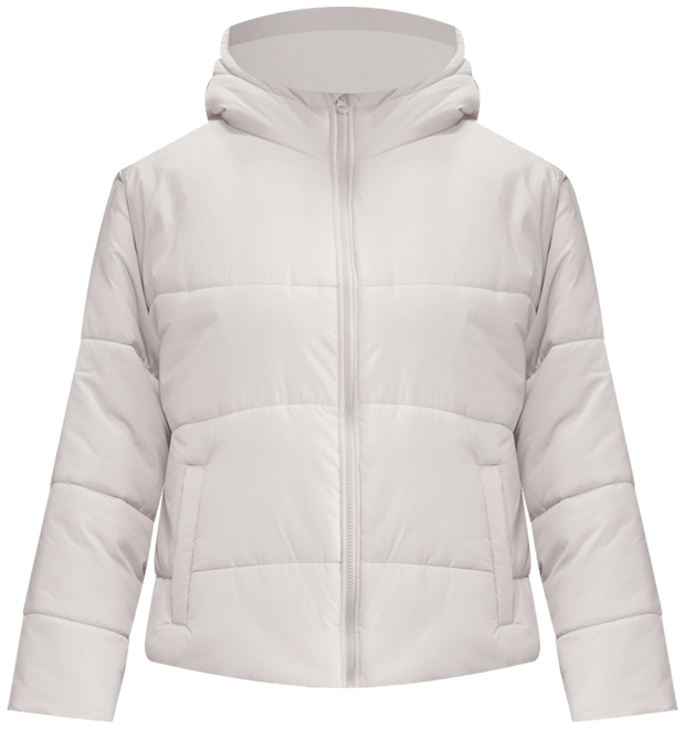 Nike Sportswear Classic Puffer Women's Therma-FIT Loose Hooded Jacket (Plus Size)